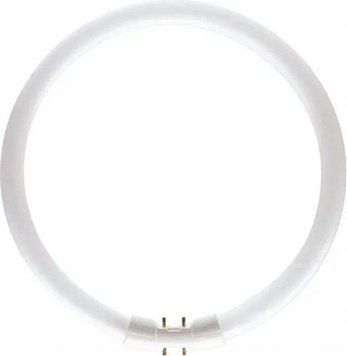 Patron Świetl&oacute;wka okrągła Circular 22W Gwint 2GX13 Barwa neutralna 4000K D230 12000h Klasa efektywności energetycznej F 5941029896692 ID-CN-322659 фото